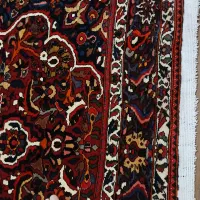 بختیار گوشتدار شور رفته|فرش|کرج, ساسانی (قلمستان)|دیوار