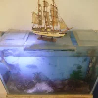 آکواریوم|ماهی|نیشابور, شهرک رضوی|دیوار