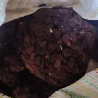 کشمش آبگیری آفتاب خشک خشک