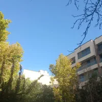 ۲۰۵ متر آپارتمان سه خواب ملاصدرا مرداویج