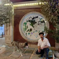 نقاشی ساختمان پزیرفته میشود