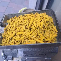 زردچوبه قلم