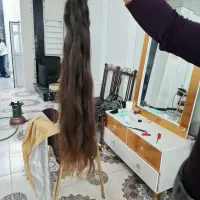 بزرگتر مرجع خریدار مو در کل استان|آرایشی، بهداشتی، درمانی|شیراز, معالی‌آباد|دیوار