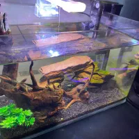 آکواریوم شیشه خم