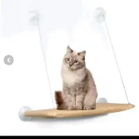جای خاب گربه