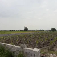 2-هکتار-زمین-بافت