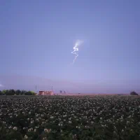 اجاره زمین کشاورزی ۱/۵هکتار۲۰آپاش ۱۰/۵ساعت سهم آب