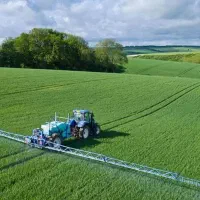 زمین-کشاورزی-سند-تک-برگ