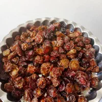 آلوچه محلی