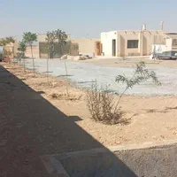 مجموعه پرورش اسب|اسب و تجهیزات اسبسواری|شاهینشهر, گرگاب|دیوار