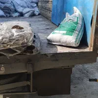 قارچ|خدمات باغبانی و درختکاری|گرگان, |دیوار