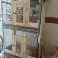 مرغ عشق باقفس فروش ومعاوظه با جوجه مرغ