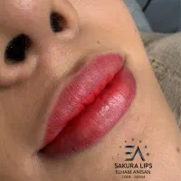 تخفیف ویژه شیدینگ لب|خدمات آرایشگری و زیبایی|بوشهر, |دیوار