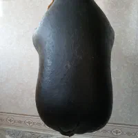 هیزه|ظروف نگهدارنده، پلاستیکی، یکبارمصرف|قصرشیرین, |دیوار