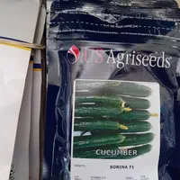 بذر خیار گوجه هندوانه ملون خربزه، صیفی و سبزیجات|خدمات باغبانی و درختکاری|تهران, شوش|دیوار