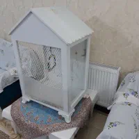 قفس مخصوص حیوانات خانگی|لوازم جانبی حیوانات|کرمانشاه, |دیوار