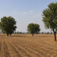 زمین-زراعی-جمال-آباد-تفرش