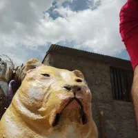 مجسمه|مجسمه، تندیس، ماکت|کرمان, |دیوار