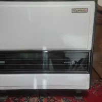 بخاری ده هزار ایران کارتوس