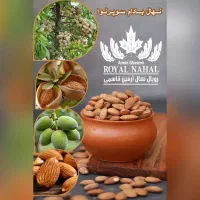 فروش  نهال بادام سوپرنوا