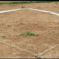 تور پرتابی پرنده