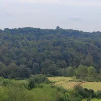 فروش زمین ۶۵۰ متری روستای سید ابوصالح قایمشهر
