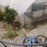 گلخانه ۳۰۰ متری