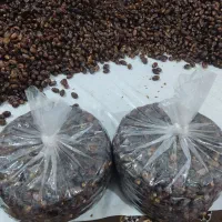 خرما درجه یک|خوردنی و آشامیدنی|کارون, |دیوار