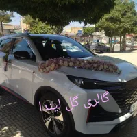 ماشین عروس دسته گل عروس(شیک خاص اقتصادی)|خدمات پذیرایی، مراسم|کرمانشاه, |دیوار