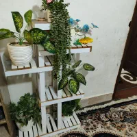 استندگلدان