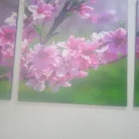 نظافت راه پله و منزل انجام داده میشه