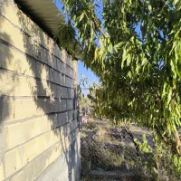 باغ دارای اتاق