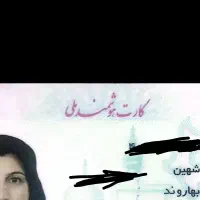 کارت ملی و چند کارت عابر گمشده