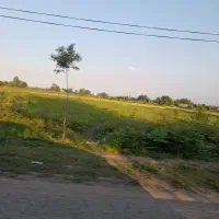 2000متر-مزروعی