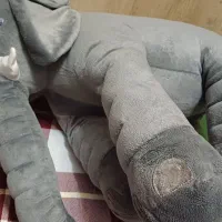 عروسک فیل|اسباببازی بچه|تبریز, |دیوار