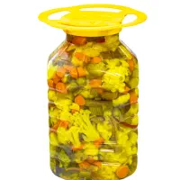 ترشی مخلوط مخصوص ۱۰کیلویی