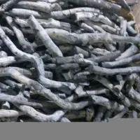 فروش انواع  ذغال