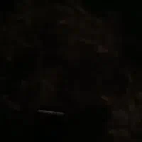 یک عدد کله گاوی توتایی