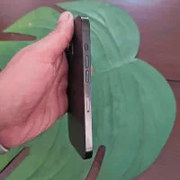 iPhone 14 Pro|موبایل|فردیس, فردیس|دیوار
