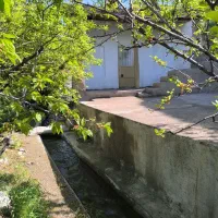 باغ در خیابان ساحلی درود