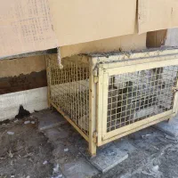 جفت کن کبوتر قفس مرغ|لوازم جانبی حیوانات|تهران, تهرانسر مرکزی|دیوار