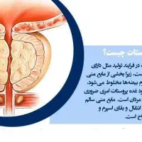 درمان تضمینی پروستات و مشکلات ادرار|خدمات آرایشگری و زیبایی|بانه, |دیوار