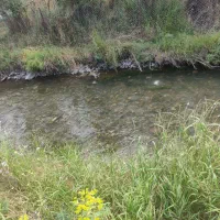 فروش-باغ-در-روستای-کلیبر