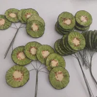 مگنت رویخچالی طرح کیوی