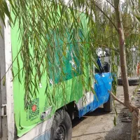 نیسان یخچالدار|خودرو سواری و وانت|کرج, حصارک پایین|دیوار