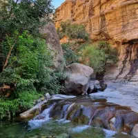 چال ماهی تهران / آب بازی و شنا / 10 شهریور یک روزه|تور و چارتر|تهران, طرشت|دیوار
