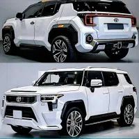 ساینا درحد خشک،