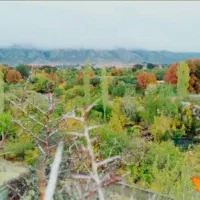 باغ|فروش دفتر صنعتی، کشاورزی، تجاری|خفر, |دیوار