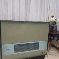 بخاری نیکالا