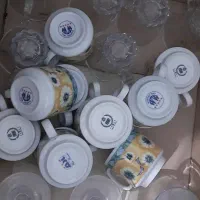 ظروف پذیرایی ارکوپال و کریستال